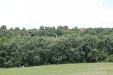 IMG_5163.jpg