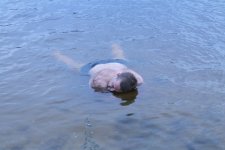 IMG_5342.jpg