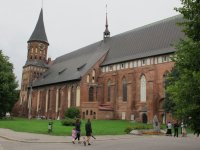 145.jpg