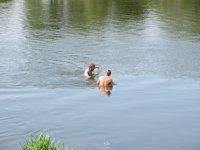 IMG_1042.jpg