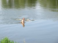 IMG_1043.jpg