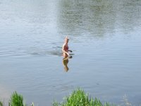 IMG_1049.jpg