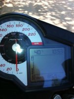 IMG_0320.jpg
