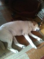 IMG_0210.jpg