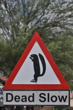DSC_0430.JPG