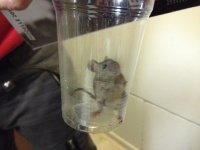 IMG_0404.jpg