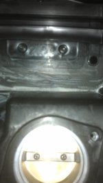 IMAG0865.jpg