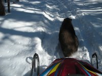IMG_2815.JPG