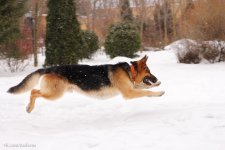 0_7863a_890017ba_orig.jpg