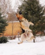 0_78634_ce2fa4_orig.jpg