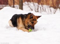 0_78636_5067b6de_orig.jpg