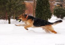0_78638_3c5e9401_orig.jpg