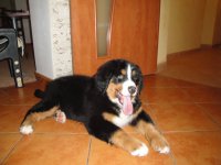 DSC00344.JPG