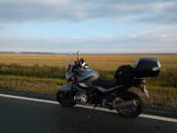 WP_000966.jpg