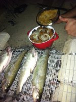 IMG_1139.JPG