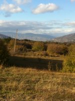 IMG_1213.JPG