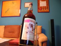 DSCN4310.JPG
