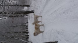 uploadfromtaptalk1419781356741.jpg