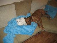 IMG_0139.JPG