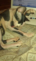 IMAG0794.jpg