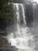 111110090238.JPG
