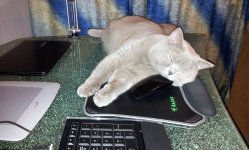 20120220_233001-1.jpg
