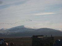 IMG_1690.JPG
