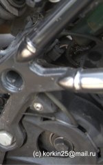 Копия IMG_1878.jpg