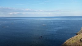 20150331_175743.jpg