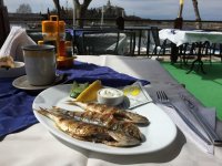 1-IMG_3655.JPG