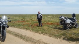 20150430_113119.jpg