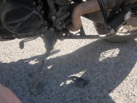 IMG_4785.JPG