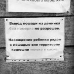 ImageUploadedByTapatalk1432795650.561990.jpg