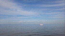 20150613_173016.jpg