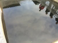 ImageUploadedByTapatalk1435066379.500181.jpg