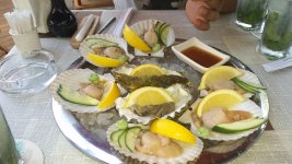 20150802_112419.jpg