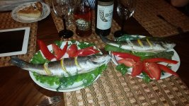 20150827_181116.jpg