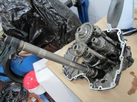 IMG_2327[1].JPG