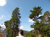 SAM_0529.jpg