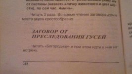 gs.jpg