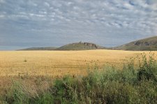 IMG_2035.jpg