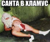 uploadfromtaptalk1447395394421.jpg