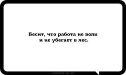 n2lKN2C5PVA.jpg