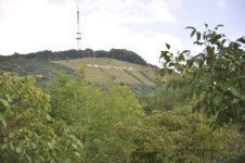 DSC_0506.jpg