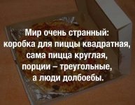 uploadfromtaptalk1451161634488.jpg