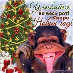 НГ2016.jpg