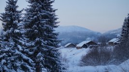 DSC03756.jpg