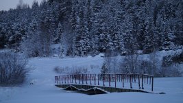 DSC03783.jpg