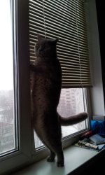 20120313_144144.jpg