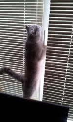 20120313_144306.jpg